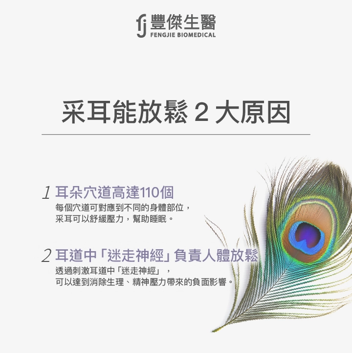 采耳能放鬆的2大原因：耳朵穴道高大110個、耳道中迷走神經負責人體放鬆